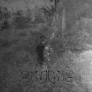 Veineliis : Strained Movements Toward Imminent Death (LP, Album, Ltd)