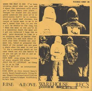 Rise Above (3) : B Is For Boston (7", RP)