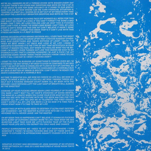 The Lowest Form : Negative Ecstasy (LP, Album)