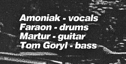 Tragiedia : Punk 'Til Destruction (LP, Album, RM)