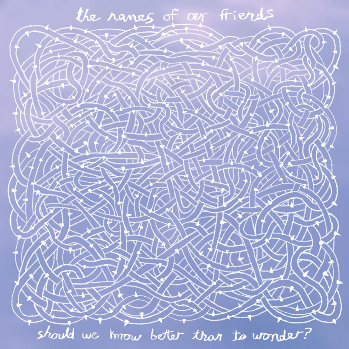 The Names of Our Friends - "Should We Know Better But to Wonder?" 10-inch