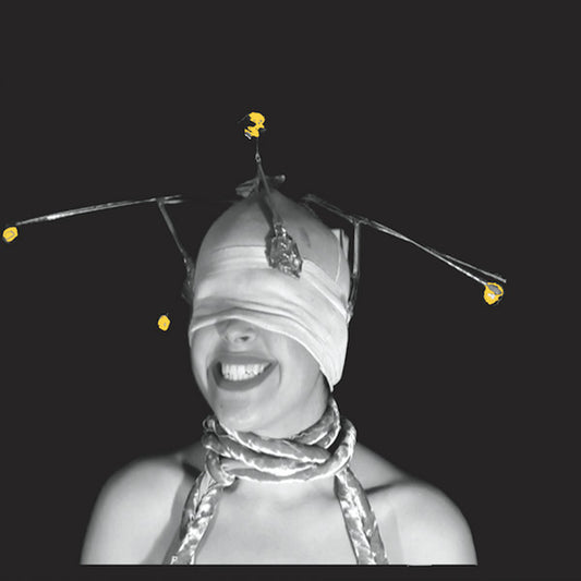 Shimmer (17) : Shimmer (12", Album)