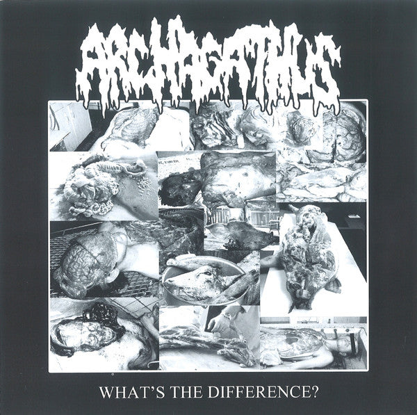 Haggus / Archagathus : Haggus / What's The Difference? (7", Ran)