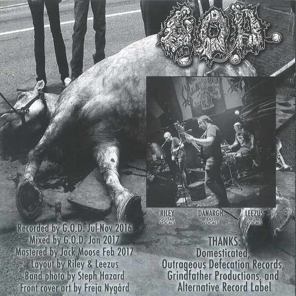 G.O.D. (15) / Domesticated : G.O.D. / Domesticated (7")