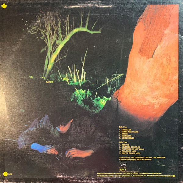 Echo And The Bunnymen* : Crocodiles (LP, Album, Don)