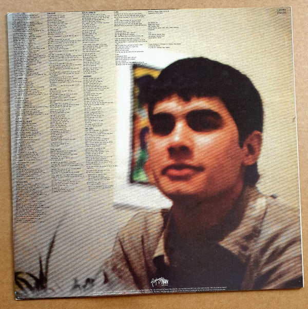 The Verlaines : Some Disenchanted Evening (LP, Album)