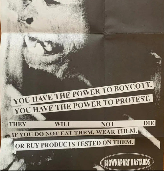 Blownapart Bastards : Requestioning Violence (7")