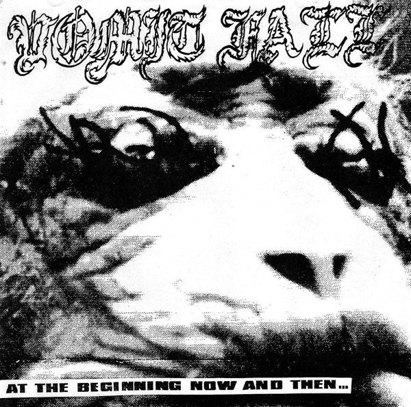 Vomit Fall : At The Beginning Now And Then... (7")