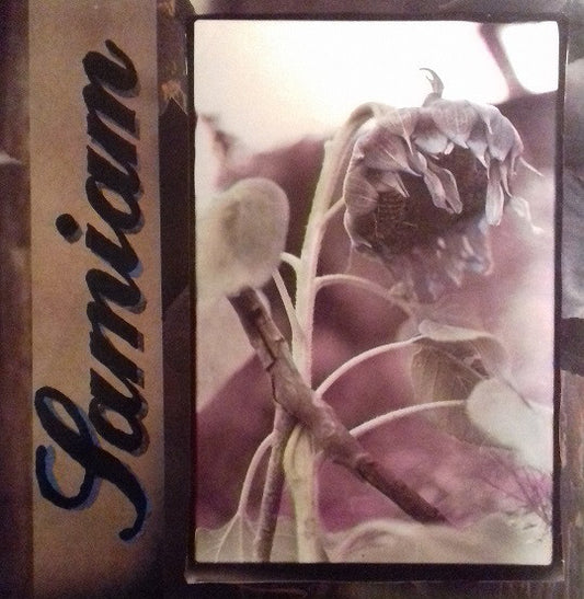 Samiam : Samiam (LP, Album, Ltd, Pur)