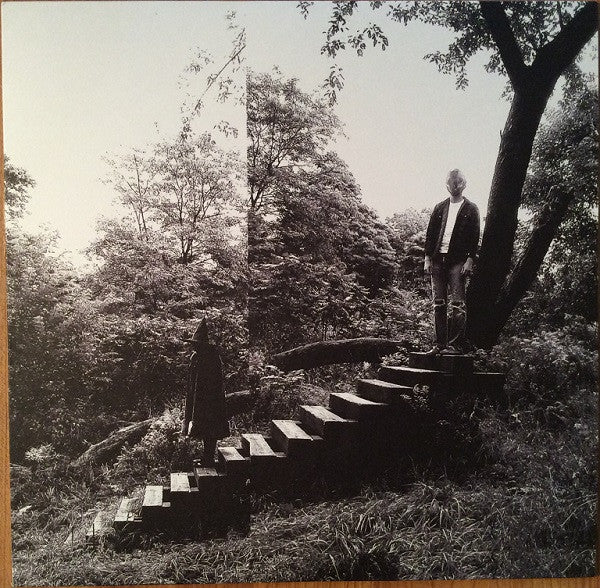 Timber Timbre : Timber Timbre (LP, Album, 180)