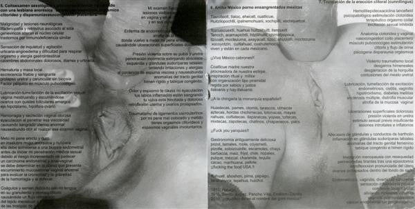 Paracoccidioidomicosisproctitissarcomucosis : Aromatica Germenexcitación En Orgías De Viscosa Y Amarga Putrefación (CD, Album)