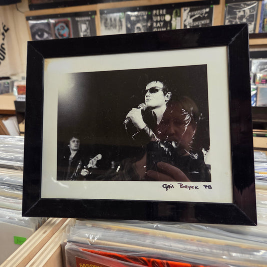 Viletones - Framed 8x10 Photo 4