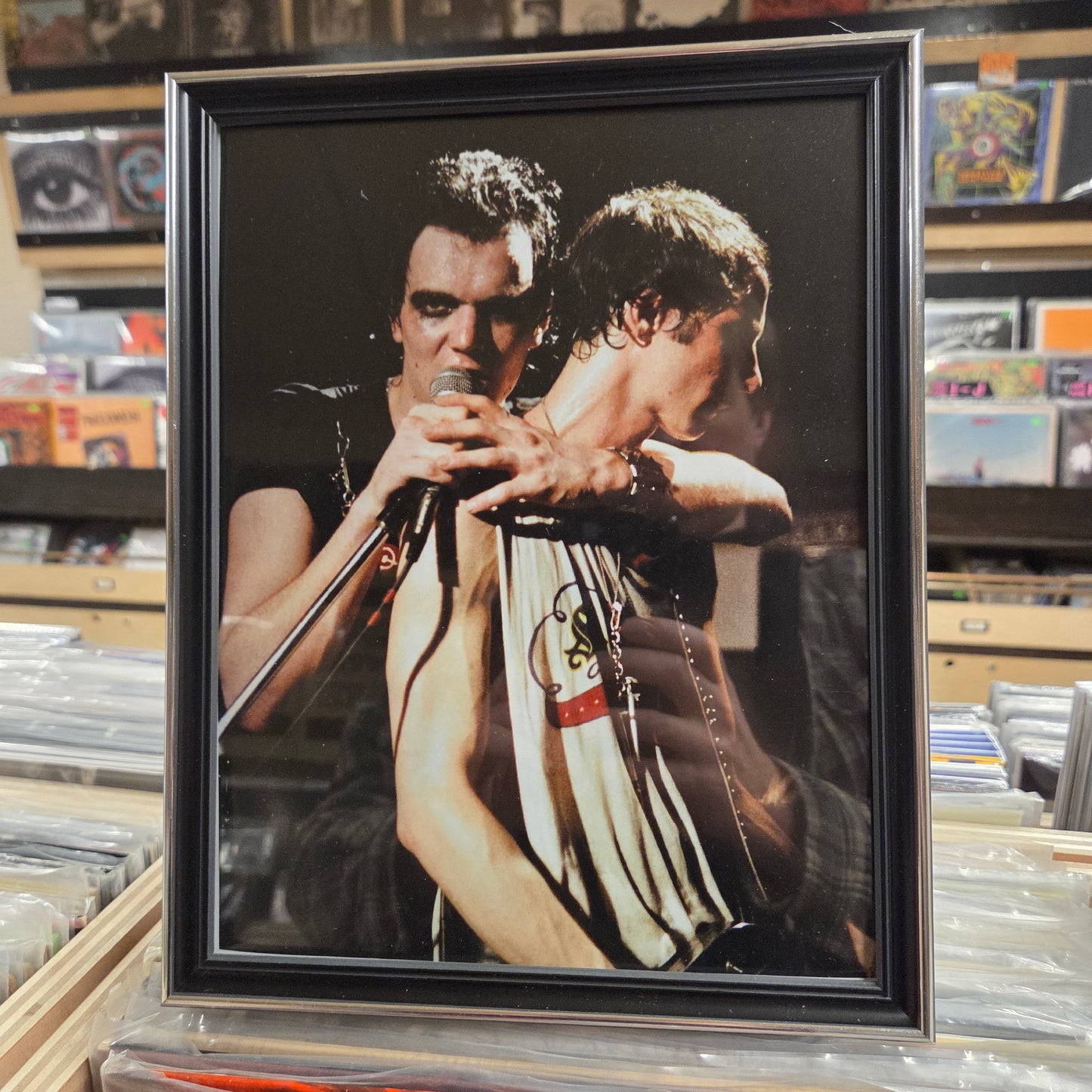 Viletones - Framed 8x10 Photo 6