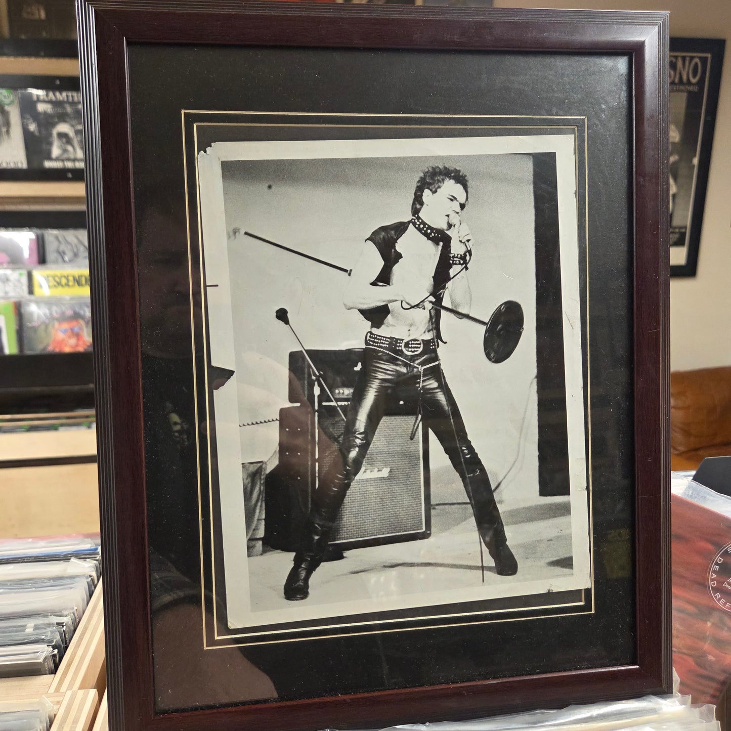 Viletones - Framed 8x10 Photo 8