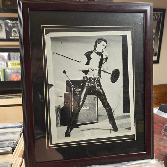 Viletones - Framed 8x10 Photo 8