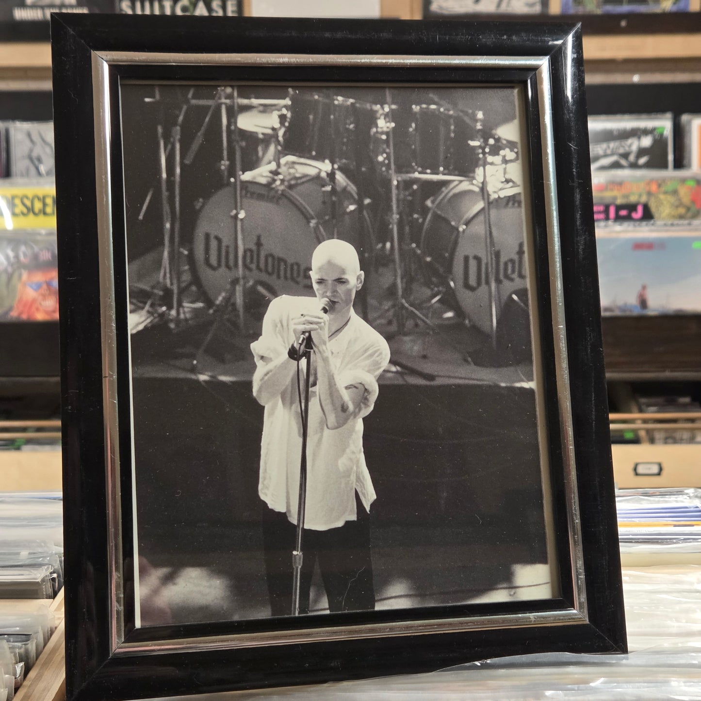 Viletones - Framed 8x10 Photo 11