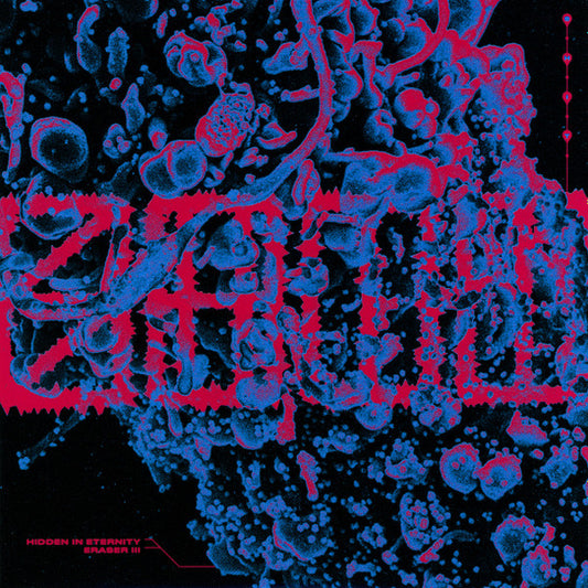 S.H.I.T. (3) : Hidden In Eternity / Eraser III (7", Single, Cok)