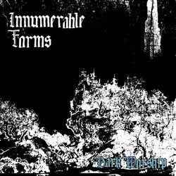 Innumerable Forms : Dark Worship (7")