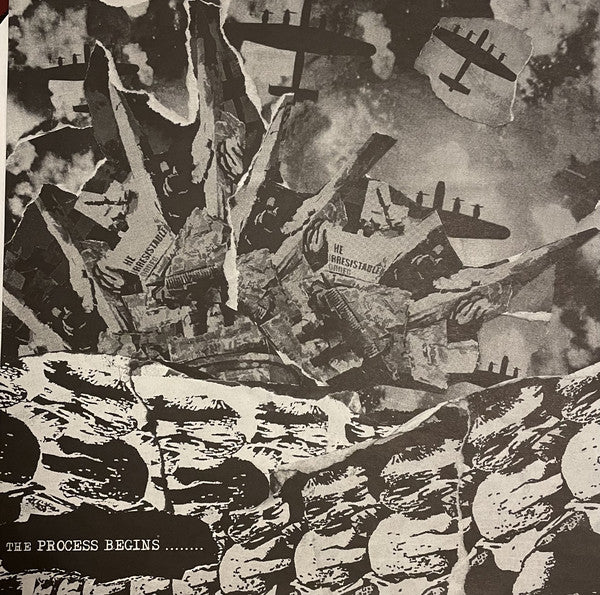 ABC Weapons : The Process Of Decay (LP)