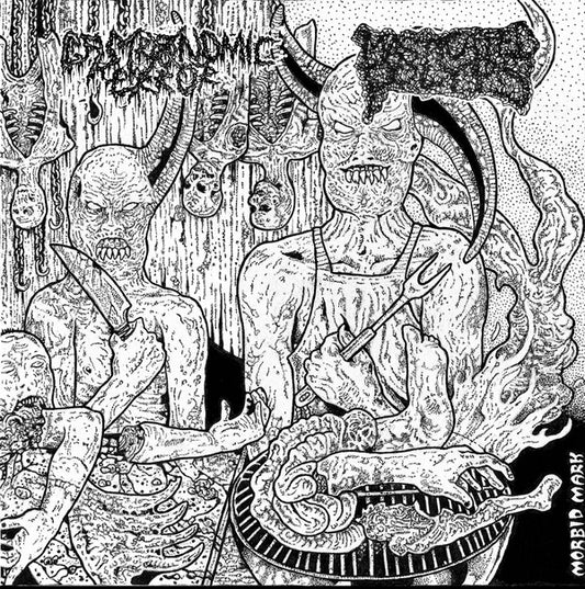 Gastronomic Error / Masticated Polyps : Split (7")