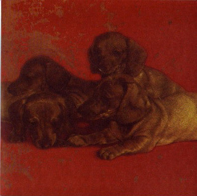 Attack In Black / Shotgun Jimmie / Ladyhawk : Fall Tour Split (7")