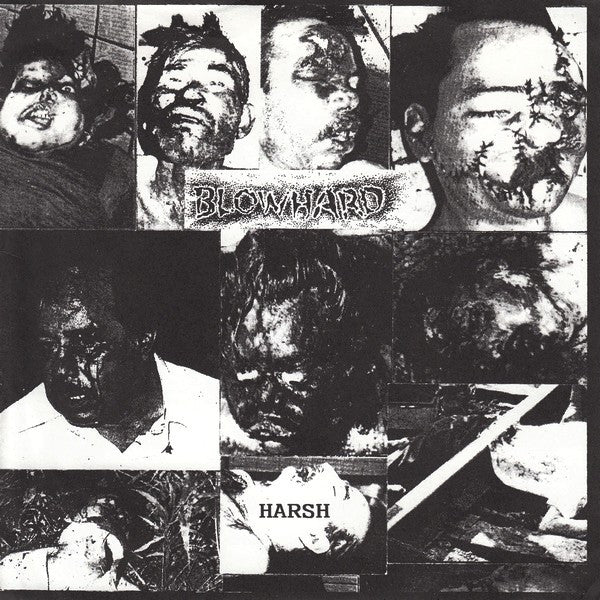 Blowhard (2) : Harsh (7")