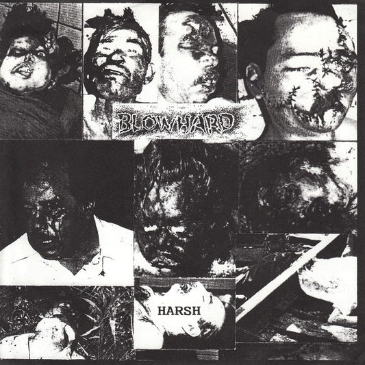 Blowhard (2) : Harsh (7")