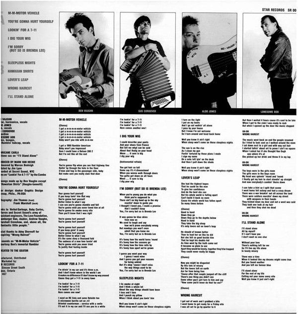 Ben Vaughn Combo : The Many Moods Of Ben Vaughn (LP, Album)