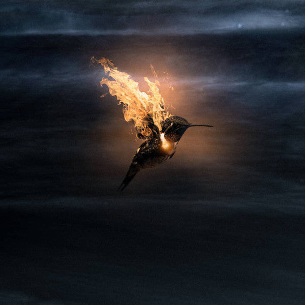 Satón : A La Espera Del Momento (LP, Album)