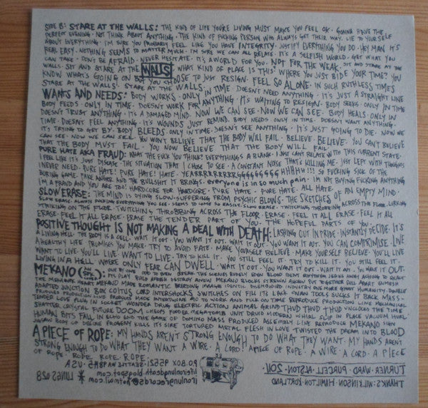 Walls : The Future Is Wide Open (LP, Album)