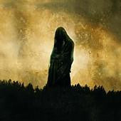 Woods Of Desolation : Toward The Depths (LP, Album, Ltd, RE, Gol)