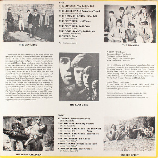 Various : The Return Of The Young Pennsylvanians!! (PA Rock 1965–1969) (LP, Comp, Ltd)