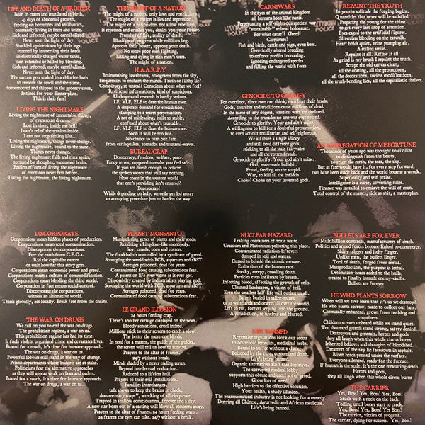 Afgrund : The Age Of Dumb (LP, Pur)