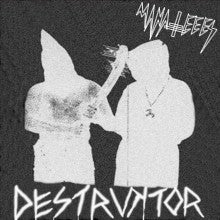 Manateees : Destruktor (7")