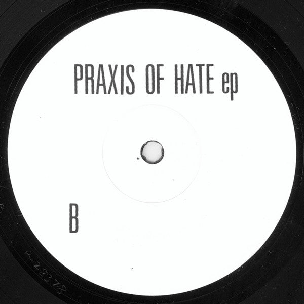 In School : Praxis Of Hate EP (7", EP)
