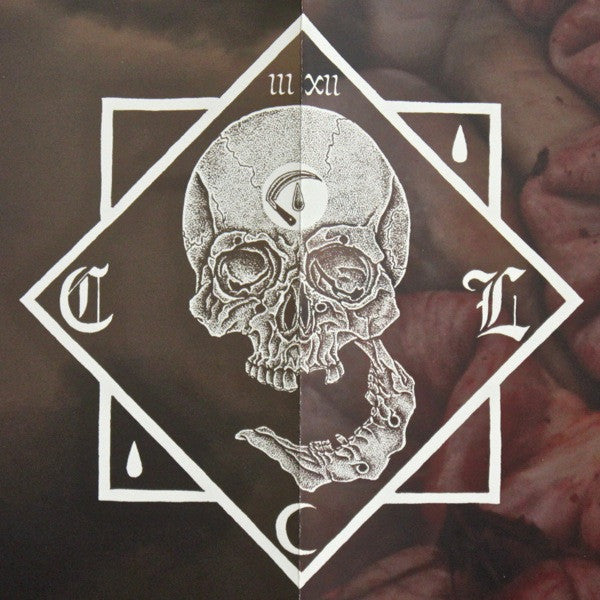 Cult Leader : Nothing For Us Here (12", EP, Bro)