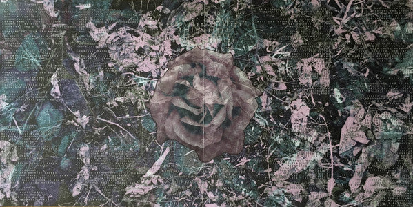 Noisem : Blossoming Decay (12", Album, Aqu)