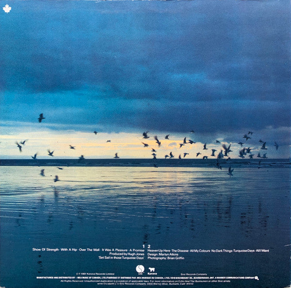 Echo And The Bunnymen* : Heaven Up Here (LP, Album)