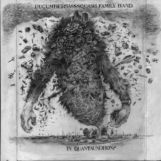 The Pucumber Sasssquash Family Band : Quantaundron? (12", Album)