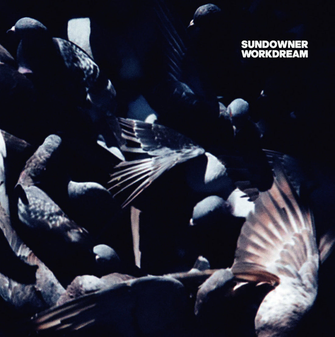 Sundowner - "Workdream" LP
