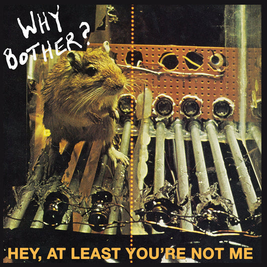 Why Bother? - "Hey At Least You're Not Me" 12-inch