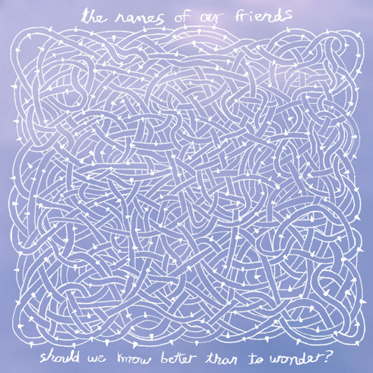 The Names of Our Friends - "Should We Know Better But to Wonder?" 10-inch