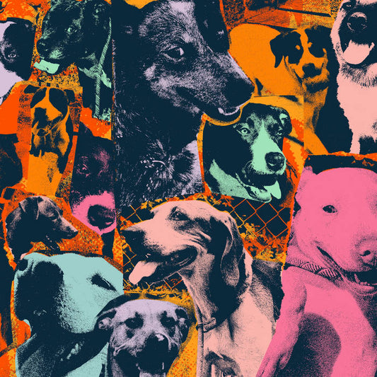 Various "The Dogs of Hope" LP