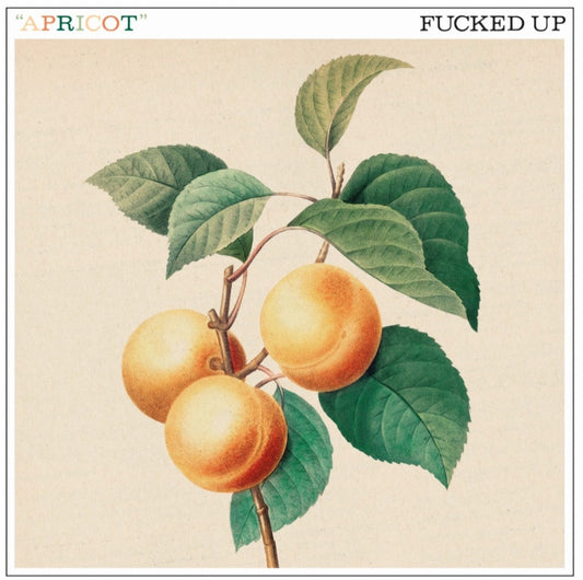 Fucked Up - "Apricot" 7-inch flexi