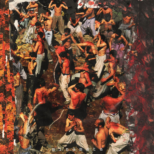 Public Health - "Minamata" LP