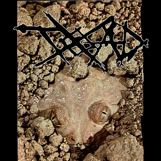 Truth of All Death - "S/T" (TOAD) 7-inch
