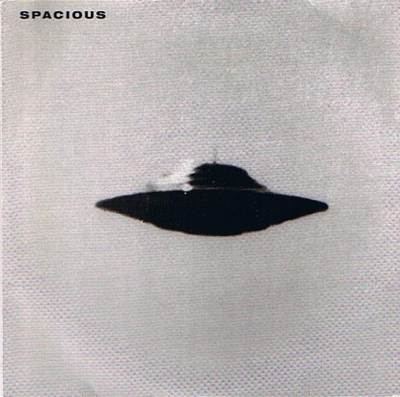 Spacious (2) : Vector 27 (7")