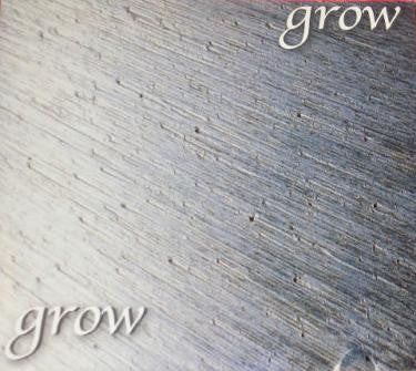 Grow (3) : Grow (7", Single)