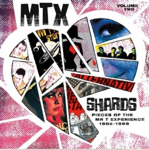 Mr.T Experience - "Shards Volume 2" LP