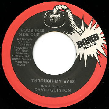 David Quinton : Through My Eyes (7", Single, Promo)